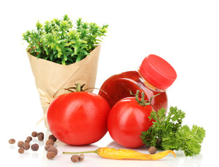 Still life tomatoes ketchup and herbs isolated on white