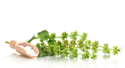 homeopathic tablets and flowers isolated on white