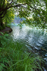 Obrazy na Plexi  Wodospad i czyste jezioro przez gałązki drzew