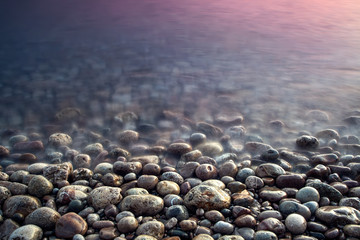 Nature composition of sunset.