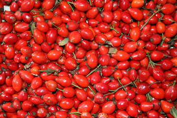 Плоды шиповника