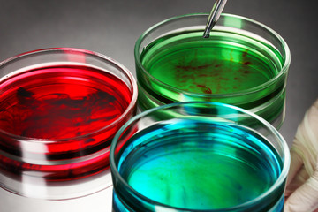 color liquid in petri dishes on grey background