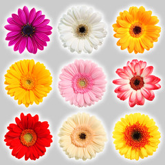 Sammlung Blumen - Collection of flowers