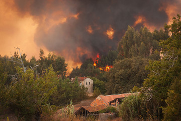 Naklejka premium Las Dziki pożar w pobliżu domów w Portugalii Lato