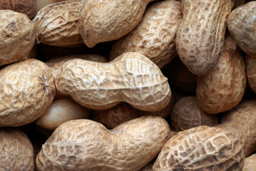peanuts in shell