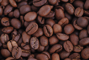 coffee beans