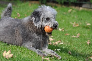 Was macht man mit so einem Ball?