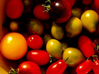 Tomatenvielfalt 2