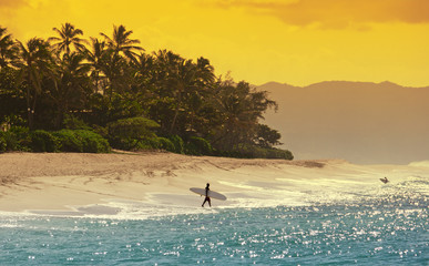 Surfer am Strand von Hawaii - obrazy, fototapety, plakaty