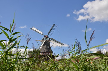 Windmühle