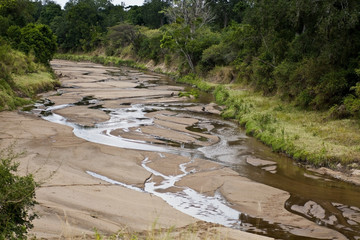 landscape of the savannah in Kenya