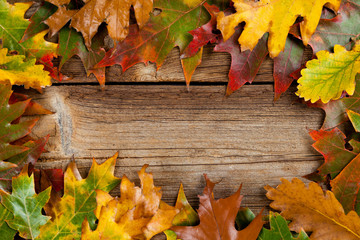 autumnal background with copy space