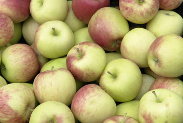 full frame apple background