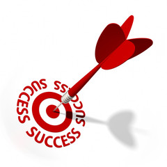 Success Target