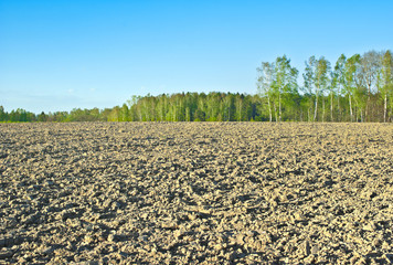 The plowed field