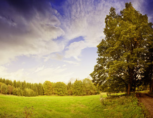 Fototapeta premium autumn landscape in vintage style