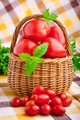 Fototapeta na wymiar Wicker basket full of fresh tomatoes and cherry tomatoes