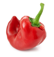 Bright red pepper over white background.