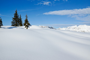 Verschneite Winterlandschaft