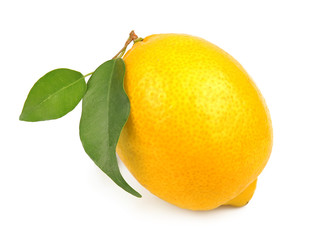 Sweet single lemon fruit