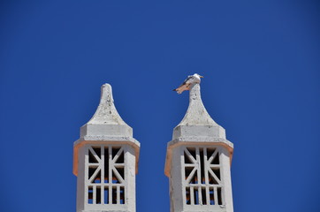 Portuguese Chimneys with seagall