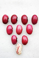 Being Different,Natural colorful bean seeds