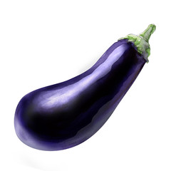 dark blue aubergine