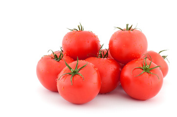 Fresh tomatoes - obrazy, fototapety, plakaty