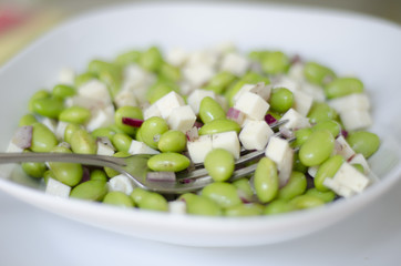 Tasty soy beans served with tofu and onion