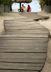 Path to beach