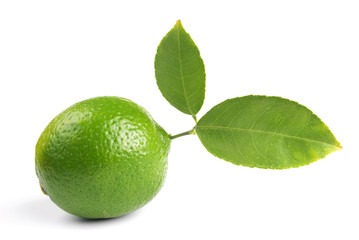 lime
