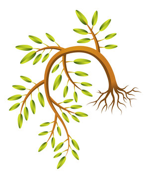 recommend clip art: Drooping Vine