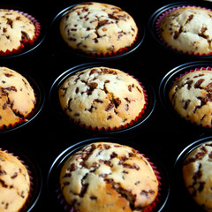 Muffins auf dem Kuchenblech