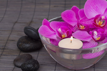 orchids with candels