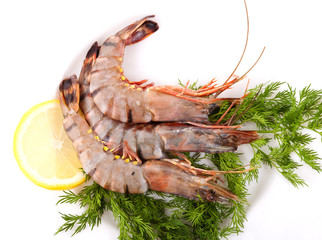Plate with Tiger Prawns
