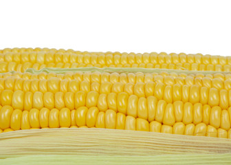 corn cob background