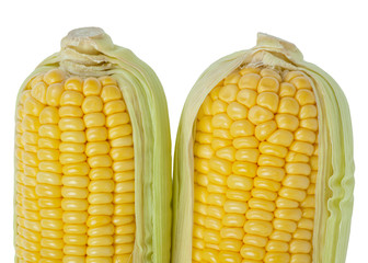 corn cob