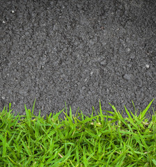green grass and asphalt Texture