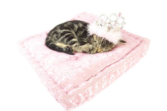 Sleeping beauty