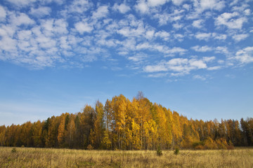 Fototapeta premium Сентябрь