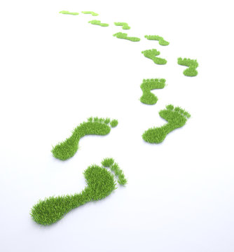 Ecological footprint concept illustration 
