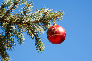 Christmas decoration - red ball hanging on a Christmas tree