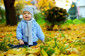 cute baby boy among fallen leaves in autumn park