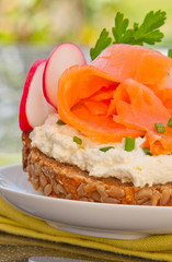 Fresh salmon with bread 