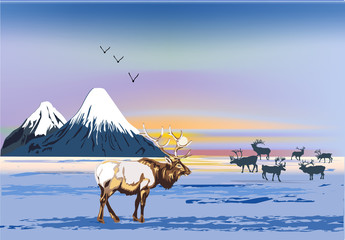 winter landscape with deers near mountains