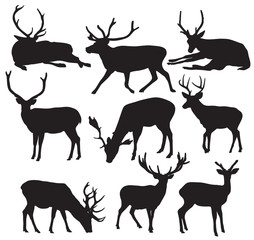 Obraz premium Vector deer silhouette