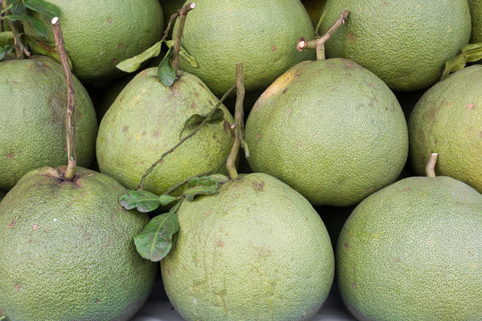Pomelo or pummelo