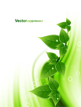 eco natural green lives stylish wave vector background