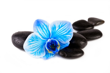Zen pebbles with blue orchid flower. Spa concept