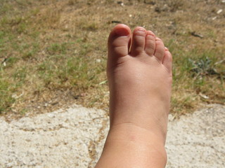 le pied